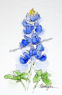 262x400 Bluebonnet Watercolors Bluebonnet Watercolor Painting Texas - Pinterest Watercolor