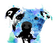 236x185 Image Result For Pitbull Watercolor Art Watercolor - Pitbull Watercolor