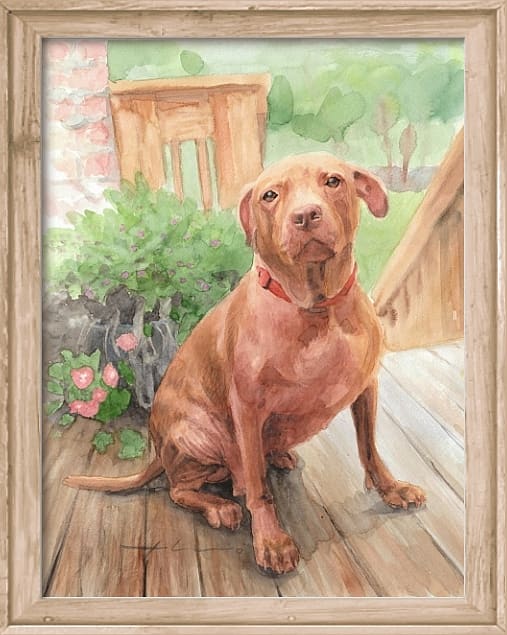 507x635 Mike Theuer - Pitbull Watercolor