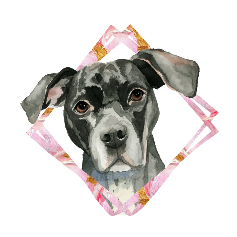 1000x1000 Namibear Art Studio On Twitter All Ears Black Pit Bull Dog - Pitbull Watercolor
