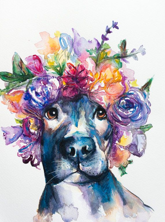 570x767 Original Pitbull Watercolor Painting Dog By Ebbandflowwatercolor - Pitbull Watercolor