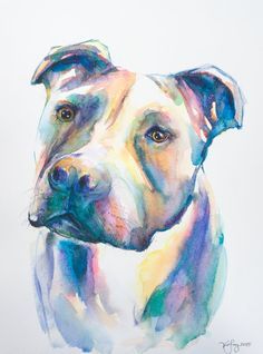 236x318 Original Pitbull Watercolor Painting Wall By Ebbandflowwatercolor - Pitbull Watercolor