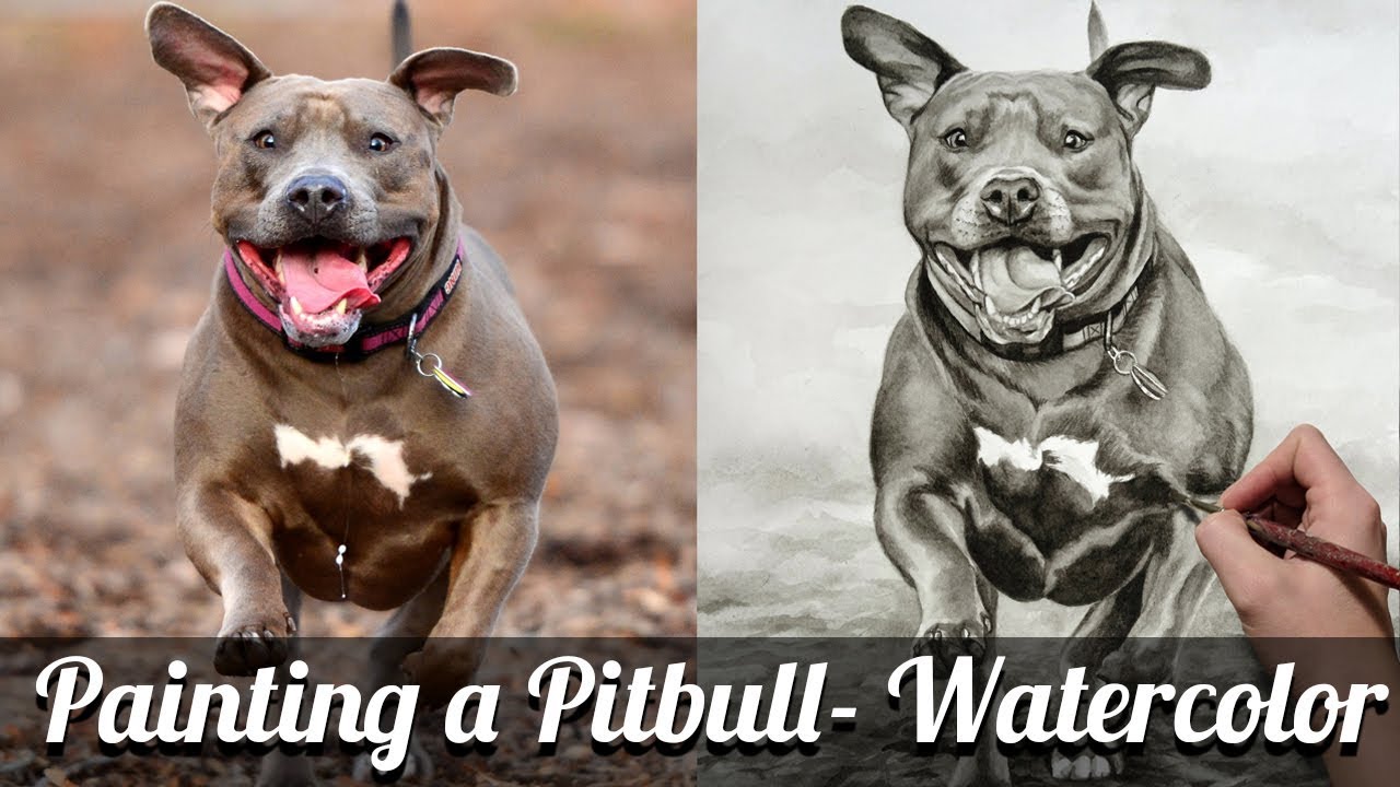 1280x720 Painting A Pitbull In Watercolor - Pitbull Watercolor