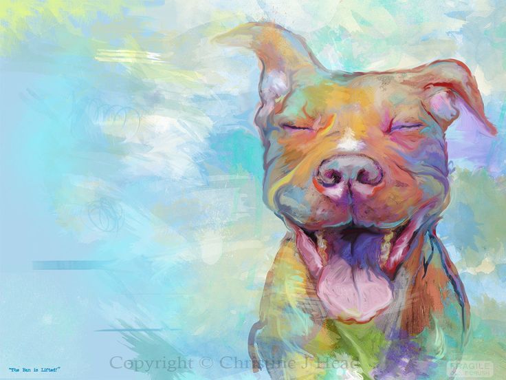 736x552 Pitbull Watercolor - Pitbull Watercolor