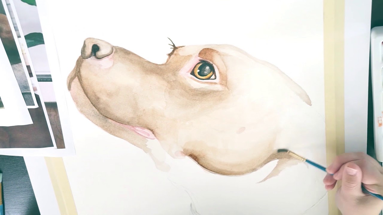 1280x720 Pitbull Watercolor Painting - Pitbull Watercolor