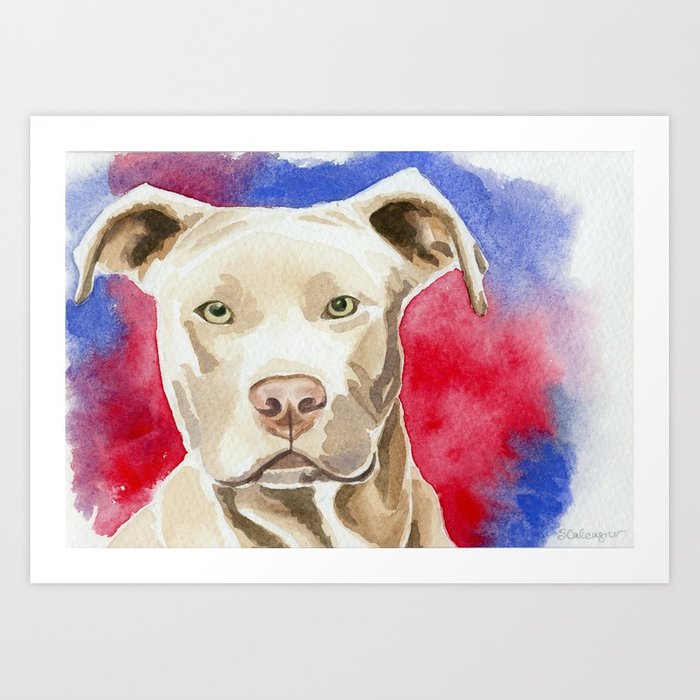 700x700 Pitbull Watercolor Painting Art Print By Clarityartdesign Society6 - Pitbull Watercolor