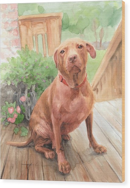 428x618 Pitbull Watercolor Portrait Drawing By Mike Theuer - Pitbull Watercolor