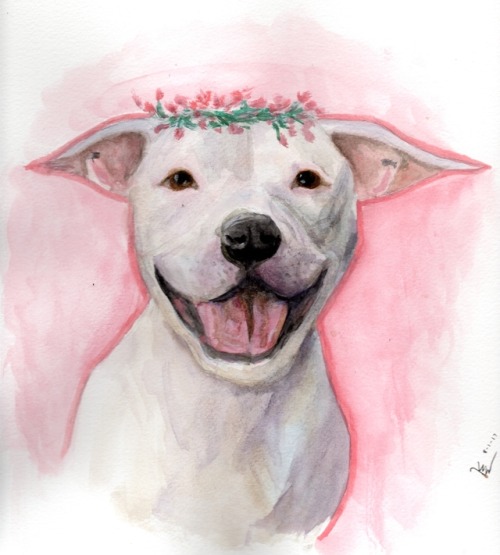 500x555 Pitbull Watercolor Tumblr - Pitbull Watercolor