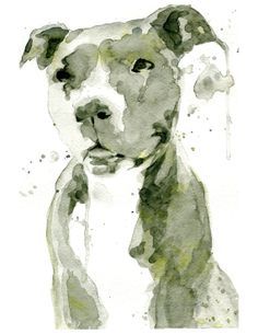 236x305 Pitbull Watercolor Tattoo - Pitbull Watercolor