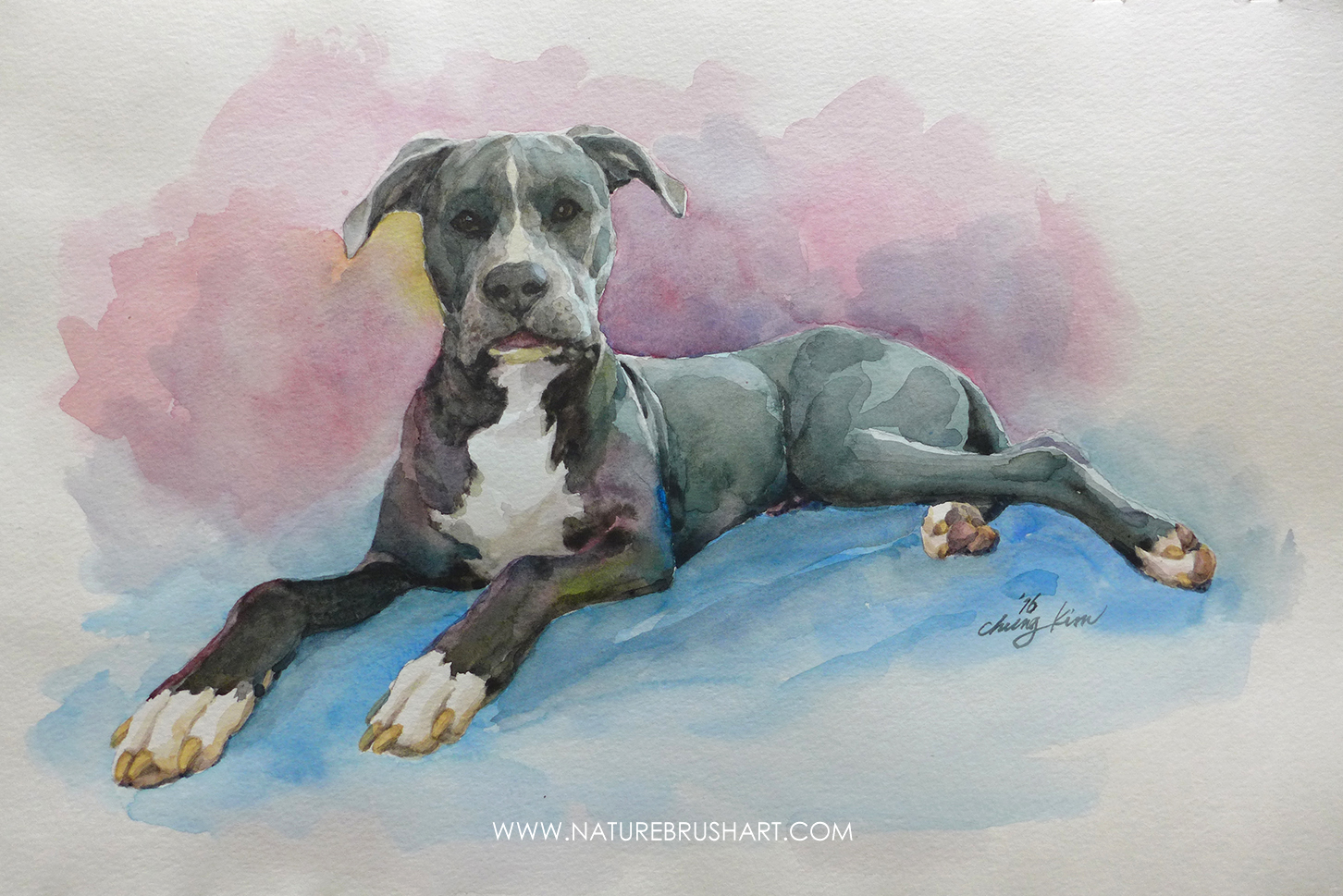 1452x969 Blue The Pitbull Naturebrushart - Pitbull Watercolor
