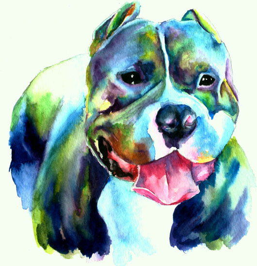 530x549 Christy!studios Pet Dog Fine Art Giclee Watercolor Prints - Pitbull Watercolor