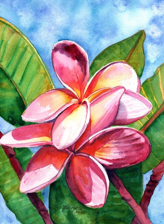 570x779 Playful Plumeria Watercolor Painting Original From Kauai Hawaii - Plumeria Watercolor
