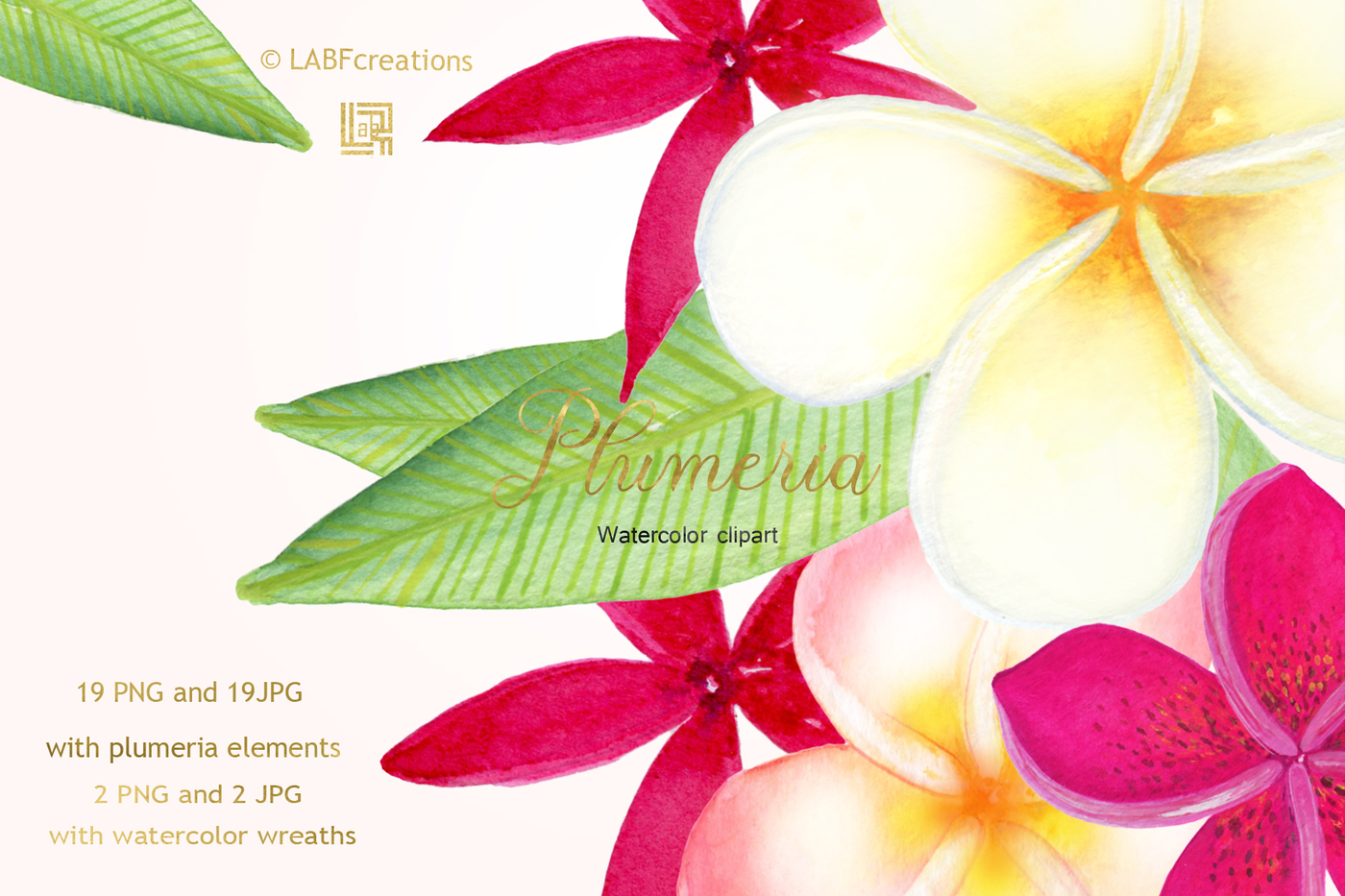 1400x933 Plumeria Tropical Watercolor Flowers By Labfcreations - Plumeria Watercolor