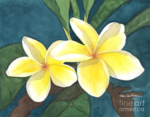 300x234 Plumeria Watercolor Paintings Fine Art America - Plumeria Watercolor