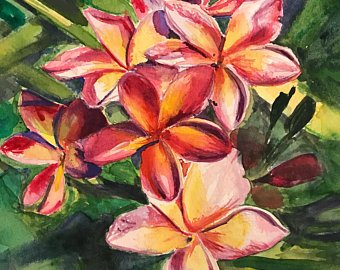 340x270 Plumeria Watercolor Etsy - Plumeria Watercolor