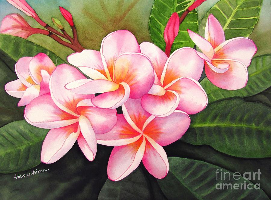 900x664 Simply Divine - Plumeria Watercolor