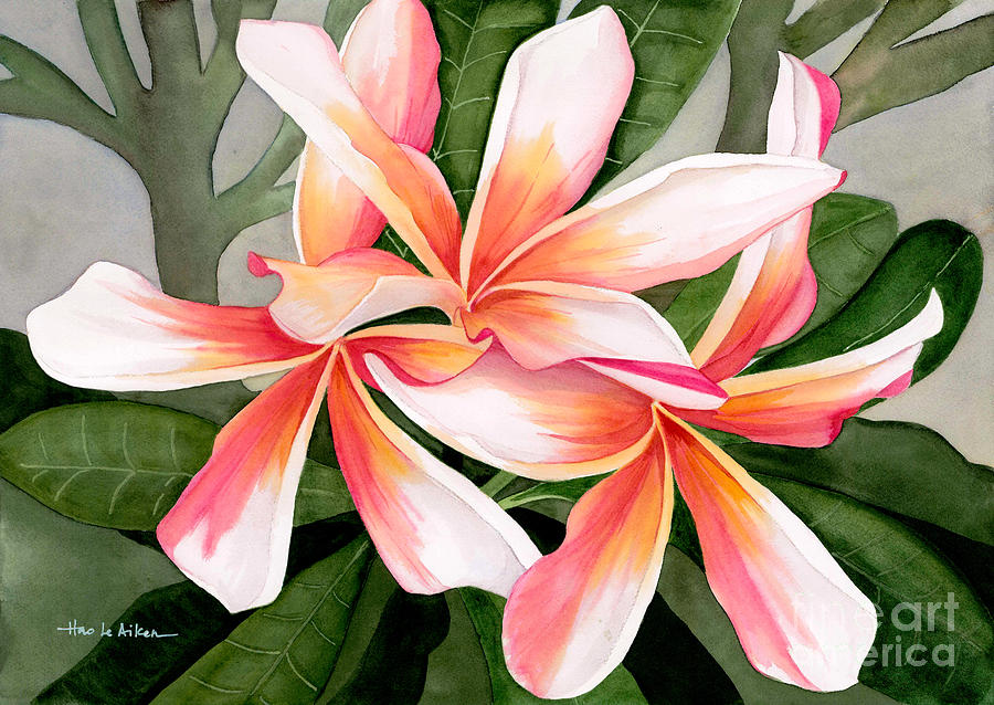 900x638 Tropical Beauty - Plumeria Watercolor