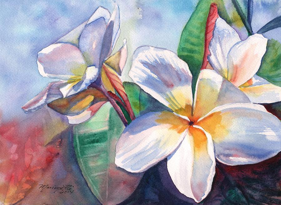 900x656 Tropical Plumeria Flowers Painting By Marionette Taboniar - Plumeria Watercolor