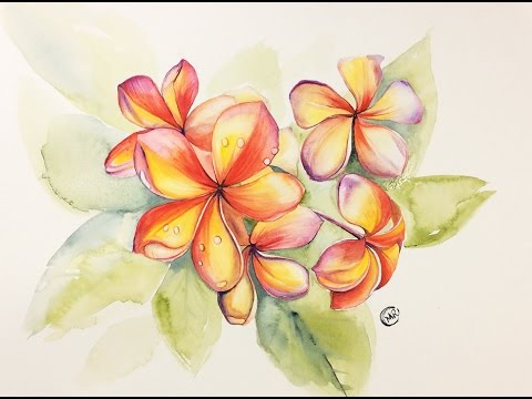 480x360 Watercolor Plumeria Flowers Painting Demonstration - Plumeria Watercolor
