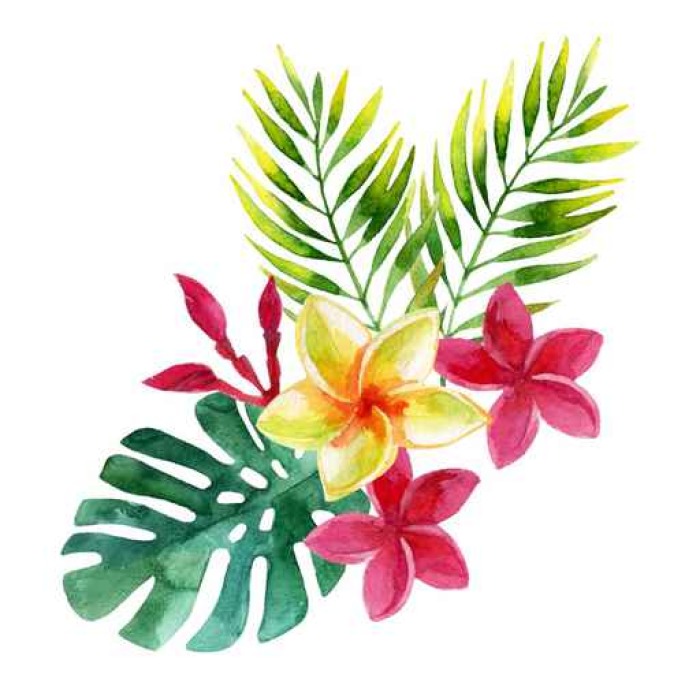 700x700 Plumeria Flowers In Watercolor Sticker We Live To Change - Plumeria Watercolor