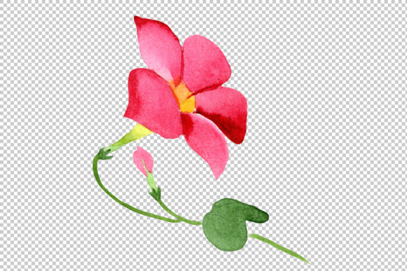 580x387 Wildflower Red Dipladies Png Watercolor Set Graphic By Mystocks - Png Watercolor