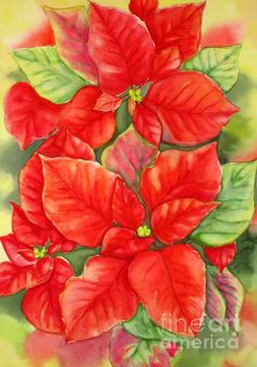 236x337 La La Land (Original Motion Picture Soundtrack Poinsettia - Poinsettia Watercolor Paintings