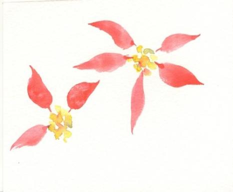 466x384 Painting Poinsettias Watercolor Tips By Susie Short - Poinsettia Watercolor Paintings