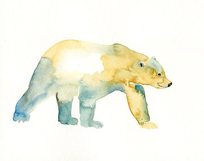 703x556 Polar Bear Clipart Foot 5 - Polar Bear Watercolor