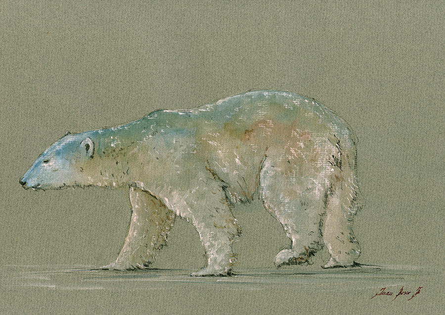 900x637 Polar Bear Original Watercolor Painting Art Painting By Juan Bosco - Polar Bear Watercolor