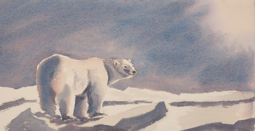 500x258 Winter, Snow And Ice Paintings By Debbie Homewood Watercolor Painter - Polar Bear Watercolor