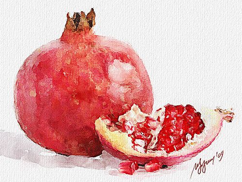 500x375 Pomegranate 002 In 2018 Paintings Watercolor - Pomegranate Watercolor