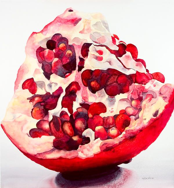 600x648 Pomegranate Painting - Pomegranate Watercolor