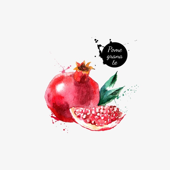 650x650 Pomegranate Watercolor, Watercolor Clipart, Red, Fruit Png Image - Pomegranate Watercolor