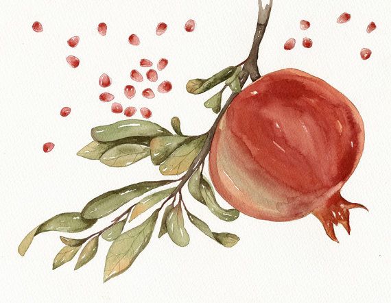570x442 Pomegranate Watercolor Art Original Painting By Ot Lorisworld - Pomegranate Watercolor