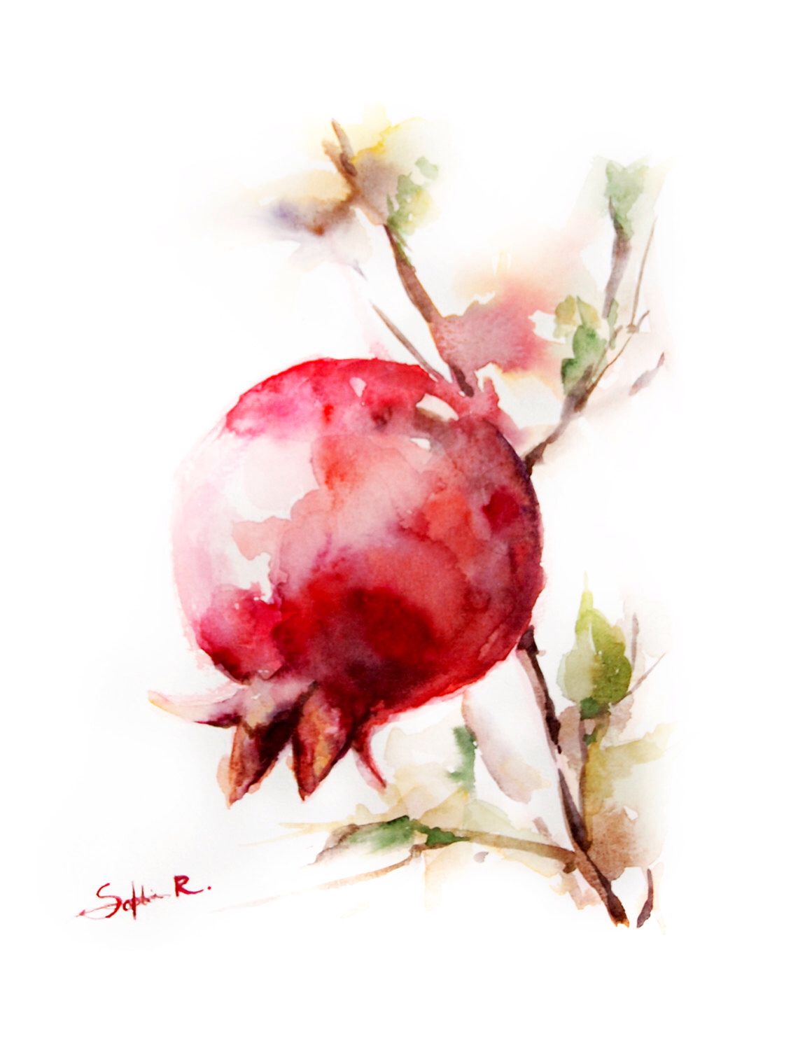 1140x1500 Red Pomegranate Watercolor Painting Art Print 9x12, Tree, Autumn - Pomegranate Watercolor