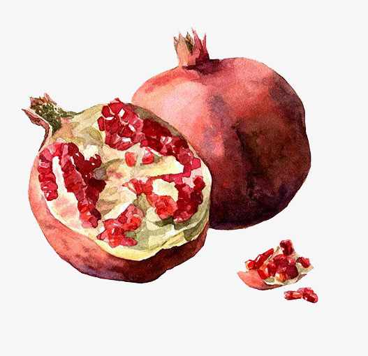 527x510 Watercolor Pomegranate, Watercolor Clipart, Watercolor - Pomegranate Watercolor