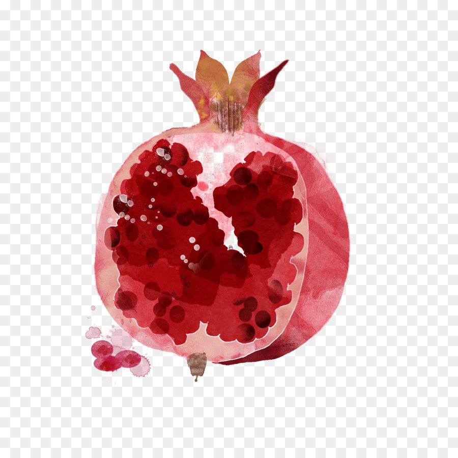 900x900 Watercolor Painting Drawing Fruit Illustration - Pomegranate Watercolor