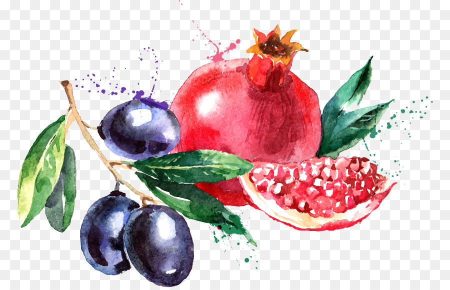 900x580 Watercolor Painting Fruit Drawing - Pomegranate Watercolor