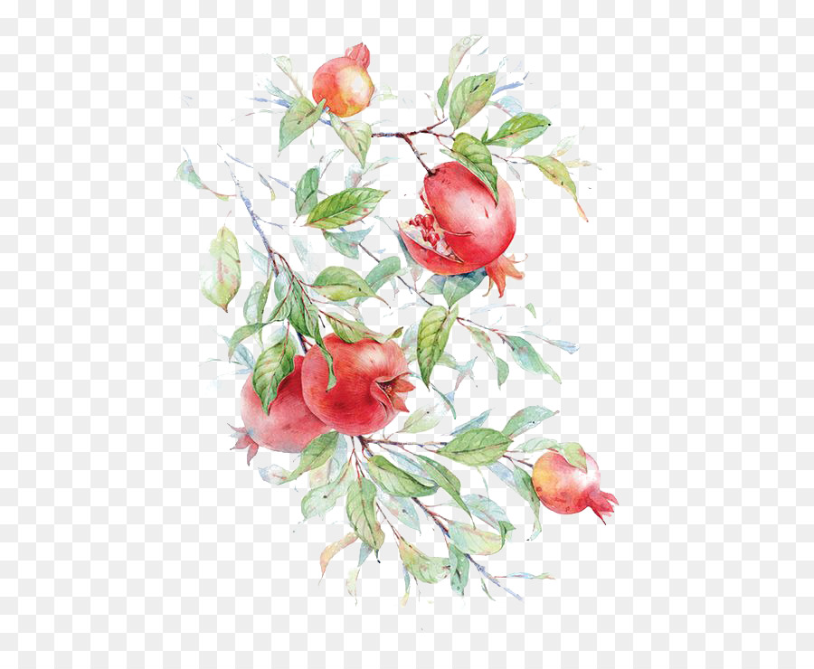 900x740 Watercolor Painting Pomegranate Drawing Flower Painting In - Pomegranate Watercolor