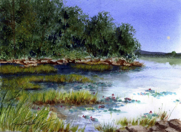 598x437 Original Watercolor Paintings By Laura Tasheiko, Maine Artist - Pond Watercolor