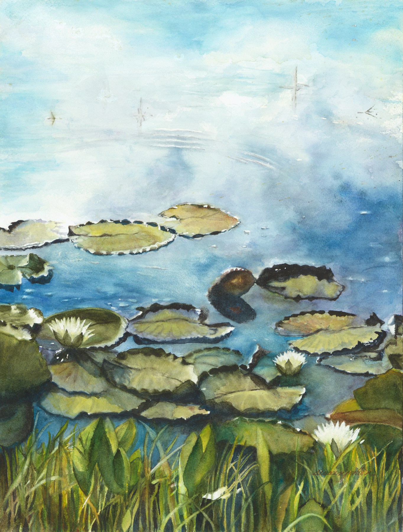 1364x1800 Susan Allen Lily Pond Clouds Florida Watercolor Society - Pond Watercolor