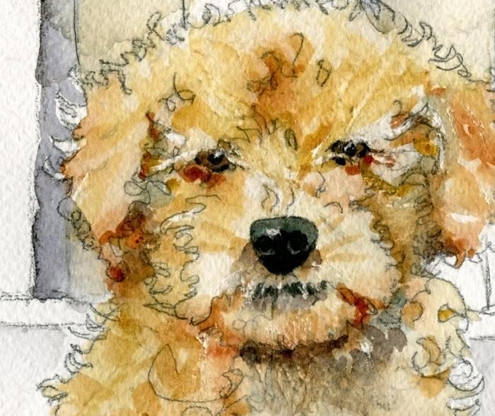 700x589 Poodle Puppy, Original Watercolor Art Schulmanart - Poodle Watercolor