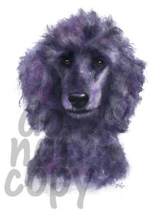 225x300 Poodle Watercolor Dog - Poodle Watercolor