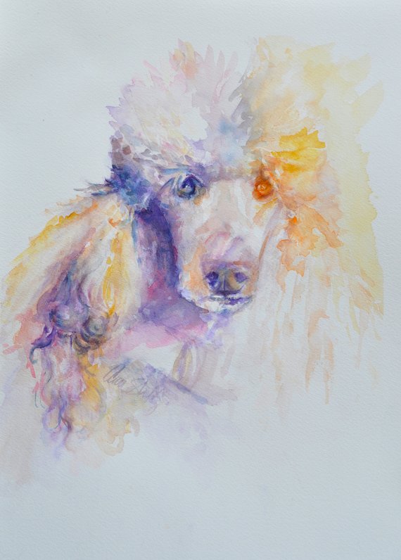 570x796 Poodle Watercolor Fine Art Print Etsy - Poodle Watercolor