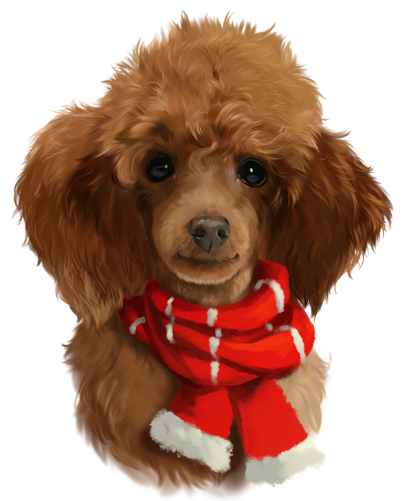 800x992 Red Poodle Watercolor Painting By Kajenna - Poodle Watercolor