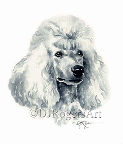 425x499 Poodle Watercolor Art Print Signed By Artist Dj - Poodle Watercolor