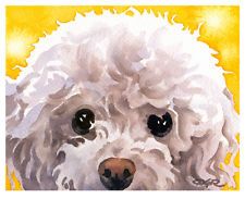 225x183 White Poodle Watercolor Dog 11 X 14 Art Print Signed By Artist - Poodle Watercolor