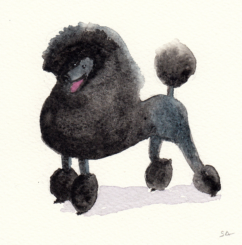 789x800 Black Poodle - Poodle Watercolor