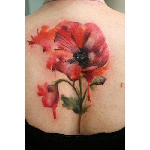 500x500 52 Stunning Watercolor Poppy Tattoo Ideas - Poppy Flower Watercolor