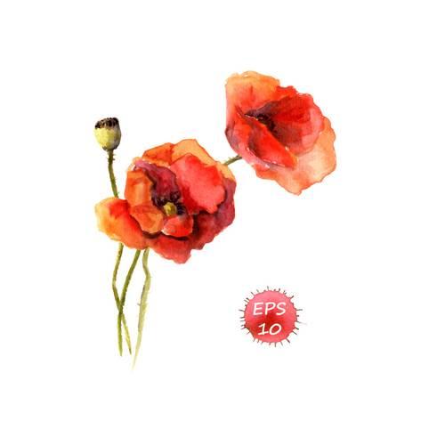 473x473 Poppy Flower. Watercolor Vector. Vintage Botanical Illustration - Poppy Flower Watercolor